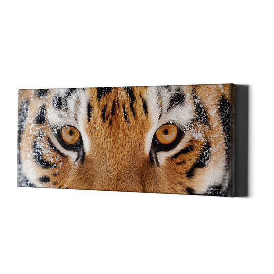 Wild Siberian Tiger Eyes Wall Art Canvas Decor Framed Painting