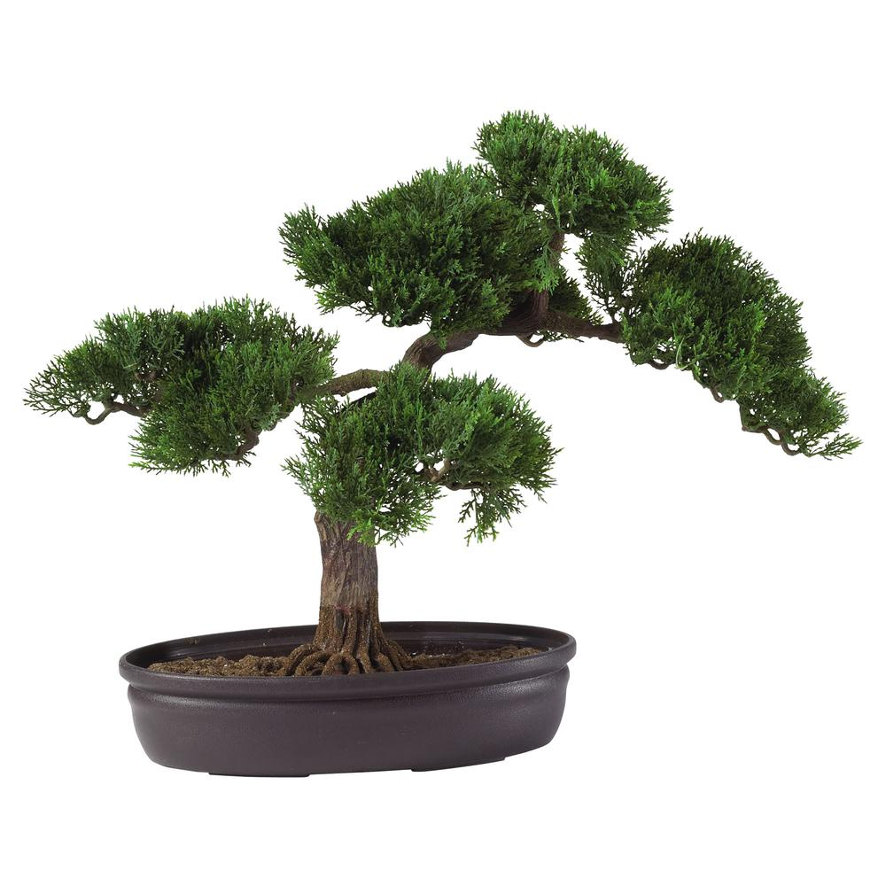 16in. Cedar Bonsai Silk Plant