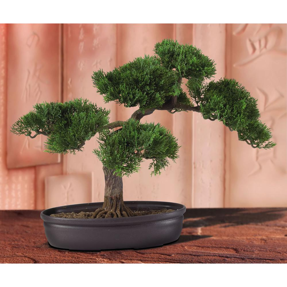 16in. Cedar Bonsai Silk Plant